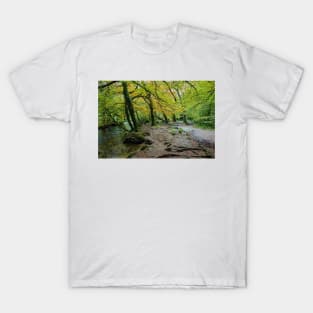 Autumn Golitha falls walk T-Shirt